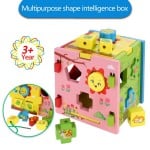 Cub educativ multipurpose shape intelligence box1-Jucarii din Lemn si Montessori