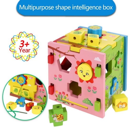 cub educativ multipurpose shape intelligence box1