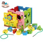 Cub educativ multipurpose shape intelligence box3-Jucarii din Lemn si Montessori
