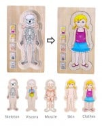 Puzzle lemn in straturi Corpul Uman Anatomie - HAM BEBE