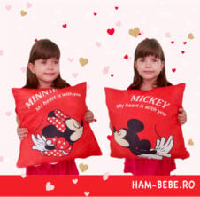 Pernute plus Mickey si Minnie Mouse - HAM BEBE