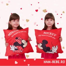 Pernute plus Mickey si Minnie Mouse - HAM BEBE