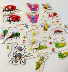 Puzzle lemn incastru insecte in limba romana1-Jucarii din Lemn si Montessori