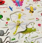 Puzzle lemn incastru insecte in limba romana3-Jucarii din Lemn si Montessori