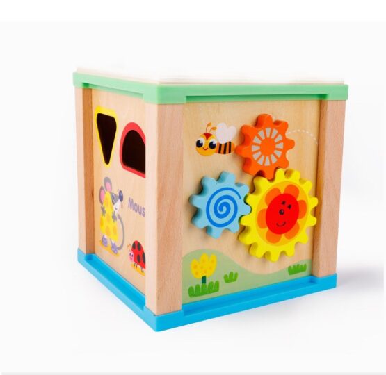 Cub educativ 5 in 1 cu forme si tangram primavara insorita4-Centre activitati
