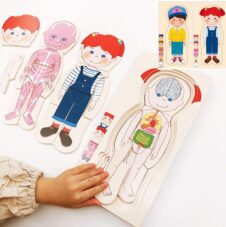 Puzzle din lemn Anatomia corpului