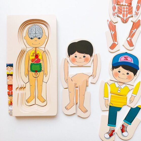 Joc educativ Puzzle in straturi Anatomia Umana - HAM BEBE