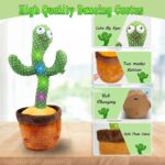 Cactus Dansator si Vorbitor de jucarie repeta, melodii, lumini - HAM BEBE