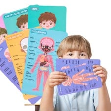 Carte magnetica joc educativ Anatomia corpului uman - HAM BEBE
