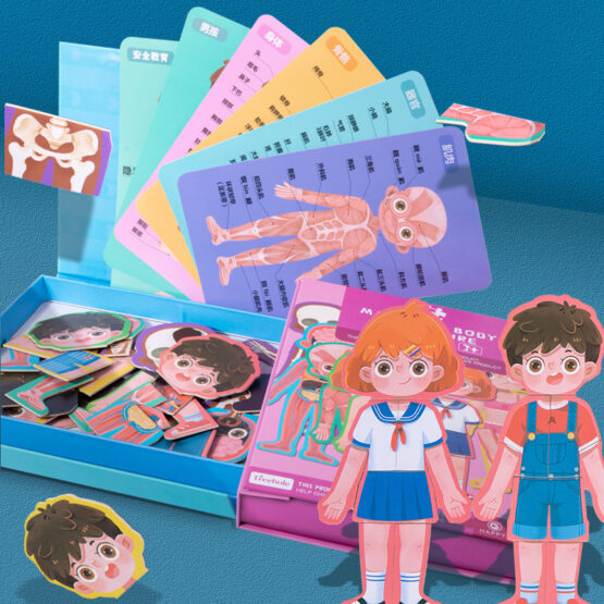 Carte magnetica joc educativ Anatomia corpului uman - HAM BEBE