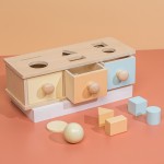Jucarie montessori permanenta obiectelor cu sertare si forme1-Jucarii din Lemn si Montessori