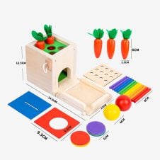 Cub educativ din lemn Montessori Play Kit 5 in 1 119