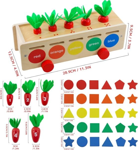 Sortator Montessori cu forme si culori si joc motricitate Morcovi