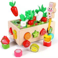 Masinuta cu morcovi pentru motricitate, sortator forme fructe si pescuit magnetic Carrot Orchard