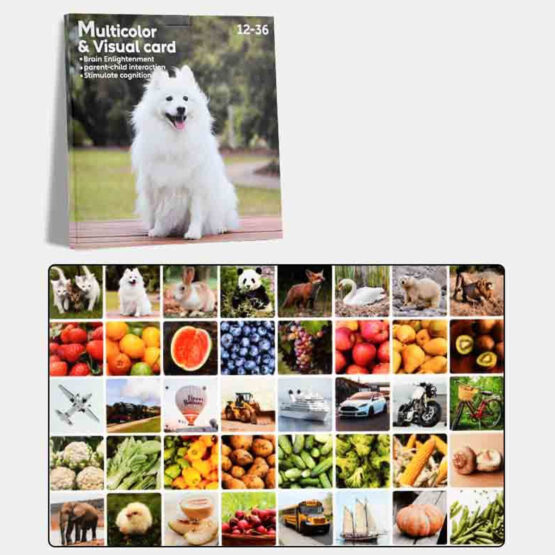 Carduri stimulare senzoriala cu Imagini 12 - 36 luni Visual Card1