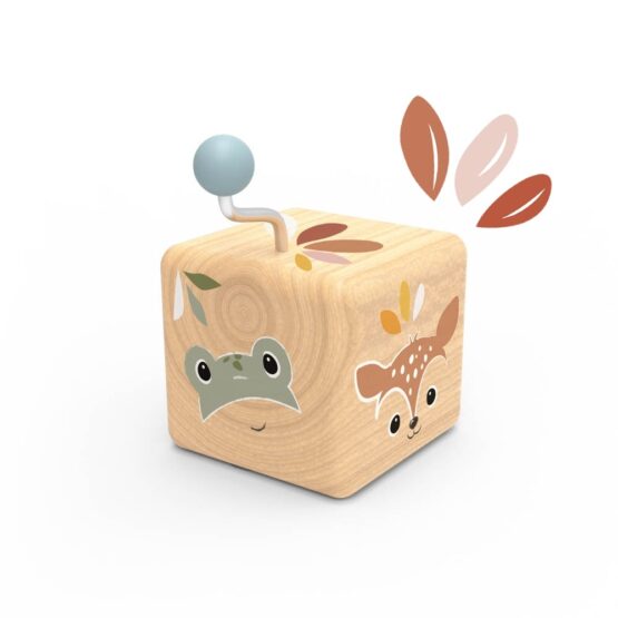 cutiuta-muzicala-din-lemn-speedy-monkey21438.jpg