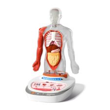 Joc STEM Anatomia umană, TopBright